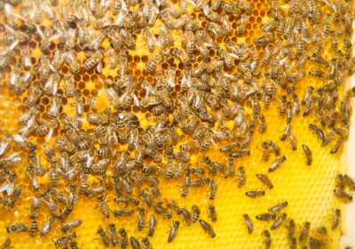 Toggiportal TOM 2016 Freitag 129.jpg