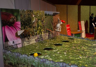 Toggiportal TOM 2016 Sonntag 070.jpg