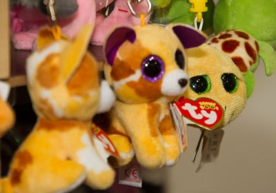 Toggiportal TOM 2016 Freitag 118.jpg