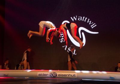 Toggiportal TOM 2016 Sonntag 050.jpg