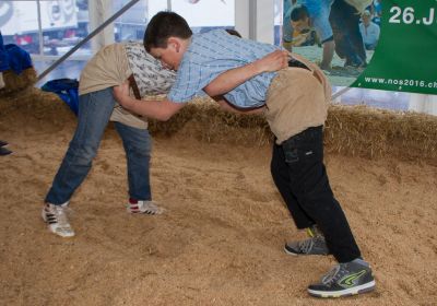 Toggiportal TOM 2016 Sonntag 103.jpg