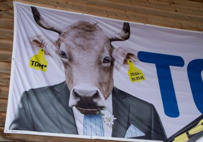 Toggiportal TOM 2016 Sonntag 112.jpg